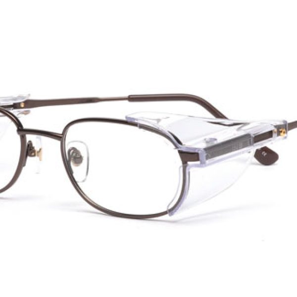 Ladies Protective Spectacles